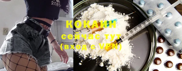 бошки Касимов