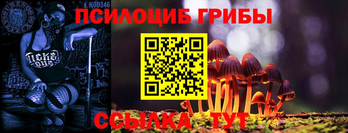 Псилоцибиновые грибы Psilocybine cubensis Сочи