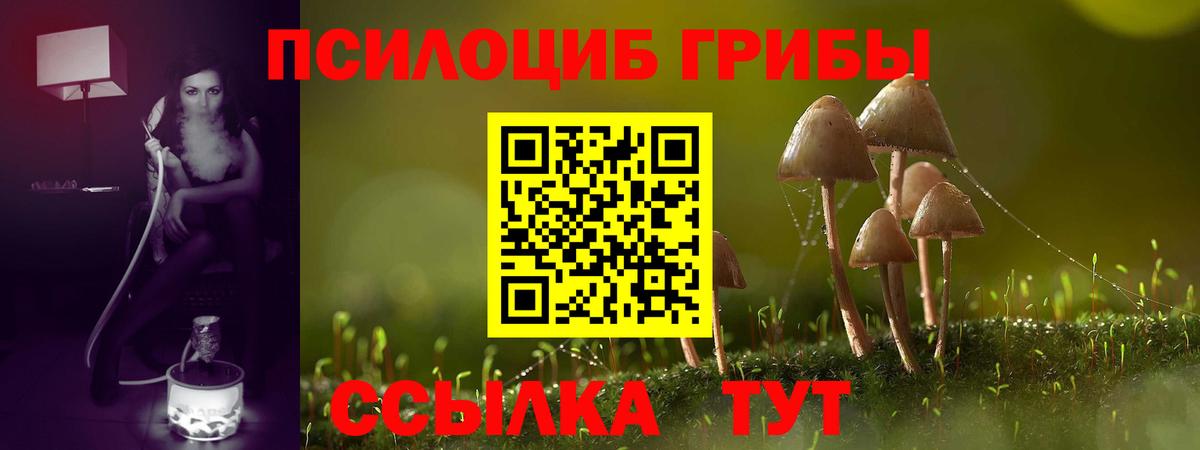 Сочи  Галлюциногенные грибы мицелий  Вход с VPN 